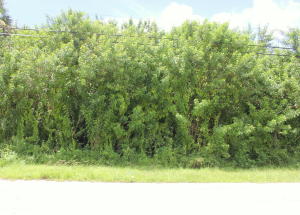 PORT ST LUCIE SECTION 11 - Land