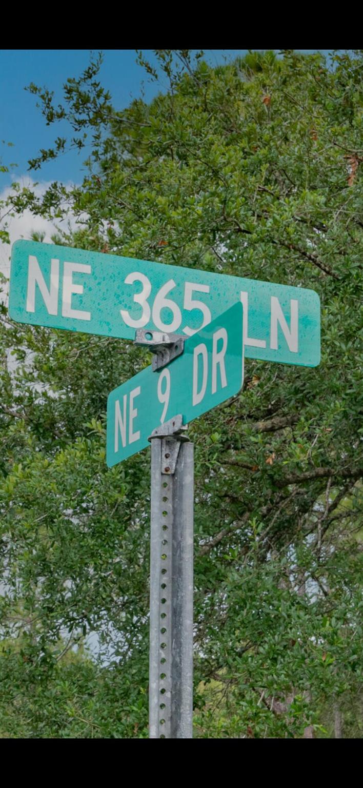 LAKE MONTAZA ESTATES SECT - Land