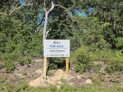 Lot 10 Malauka Cir Ocklawaha FL 32179