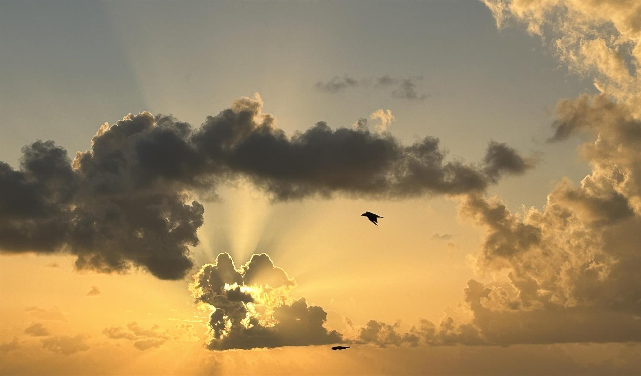 SAN REMO - Residential