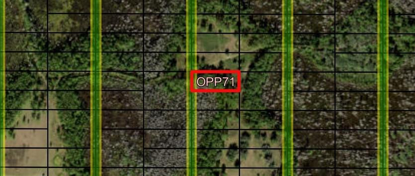 Opp71 Orlando Pines - Land