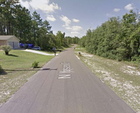 7925 N Ibsen Drive Citrus Springs FL 34433