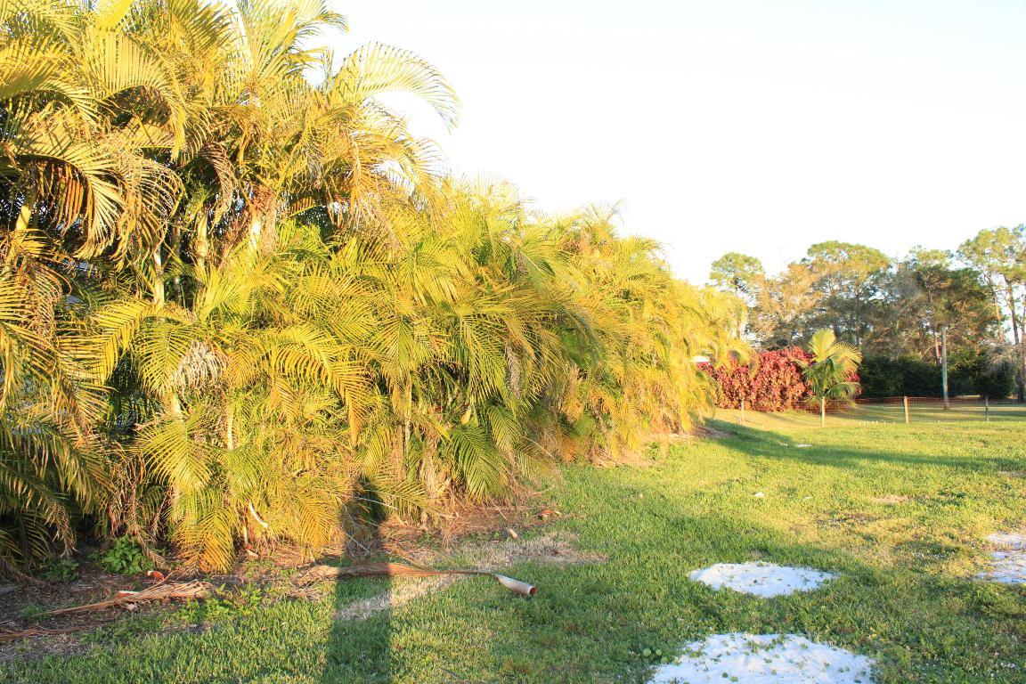 ACREAGE - Residential Lease