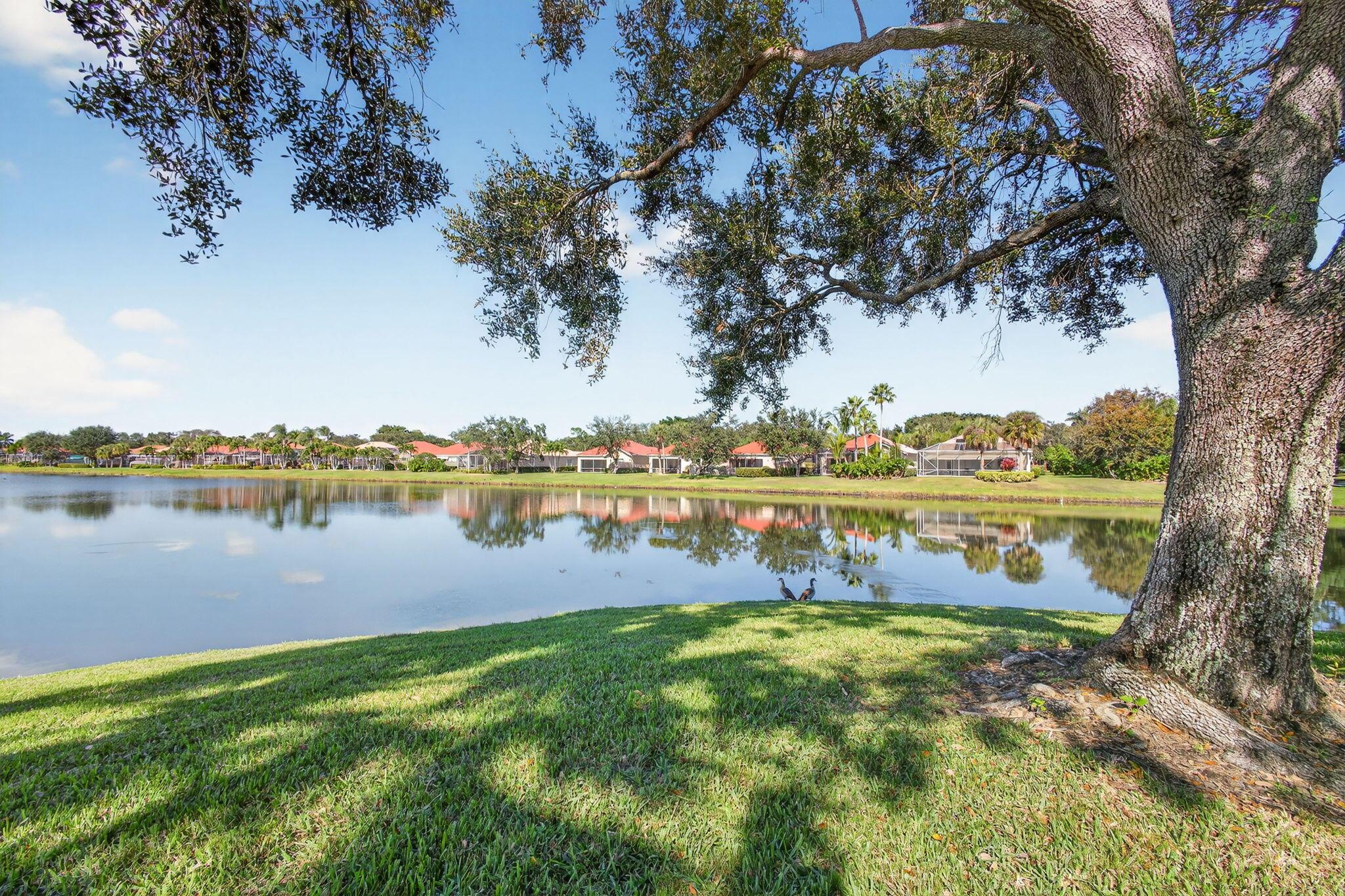 FLORIDA CLUB - Residential