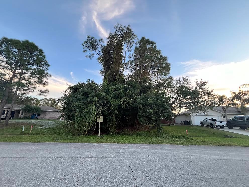 Build your dream house on this beautiful lot in desirable Palm Bay. Newer homes already in the area waiting for your home to be built. Quiet neighborhood but minutes from shopping, doctors office, and restaurants. This lot is listed below market value! Buying Land in Florida is a solid investment for your future, build your dream home, vacation home, rental investment or let the land build value as a great long-term investment to resell for a future profit.