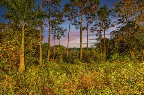 A home in Palm Beach Gardens