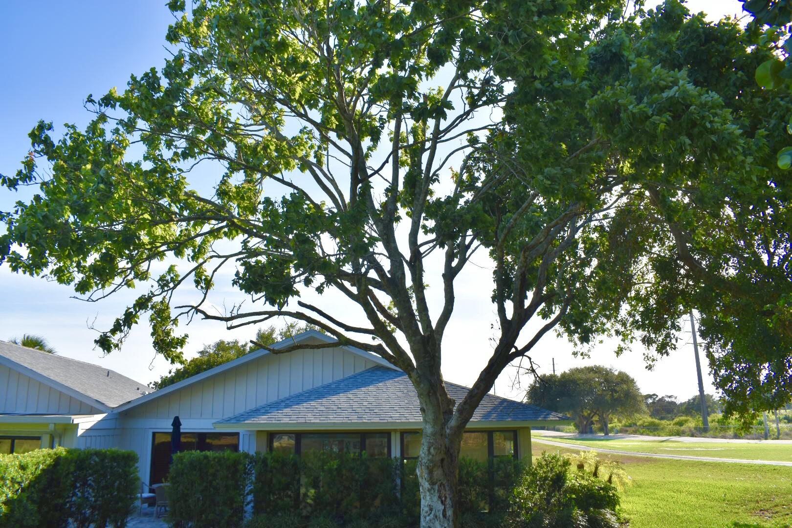 EAGLEWOOD - Residential