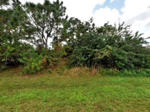 PORT ST LUCIE SECTION 44 - Land