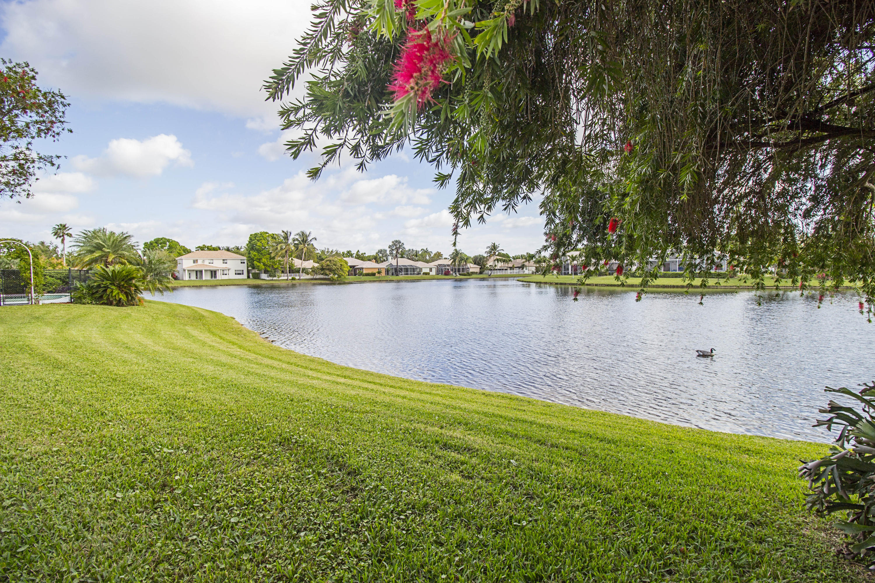 REGENCY LAKE AT COCONUT CREEK - Residential