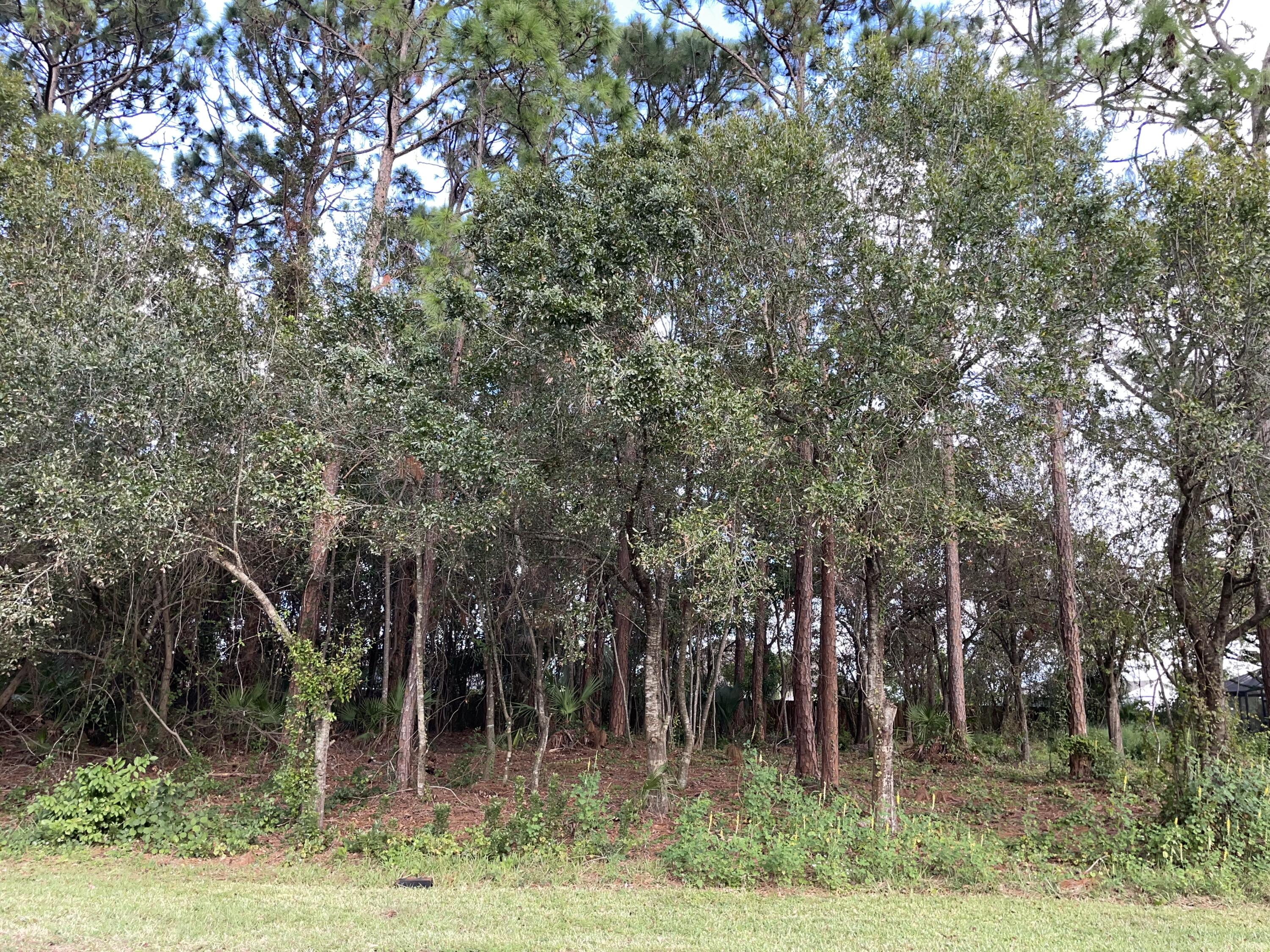 Nice lot located on a quiet street near Tradition and lots of amenities. Build your dream home here!!