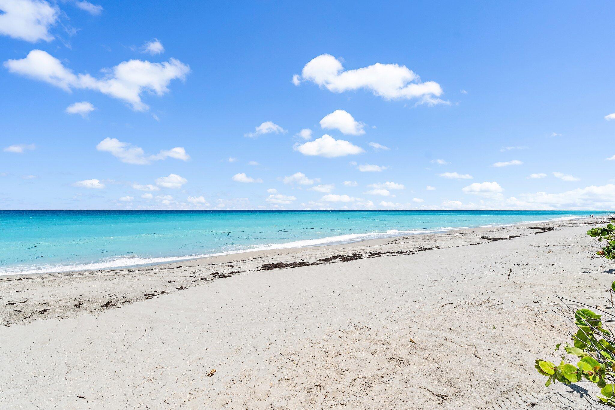 OCEANFRONT AT JUNO BEACH - Residential