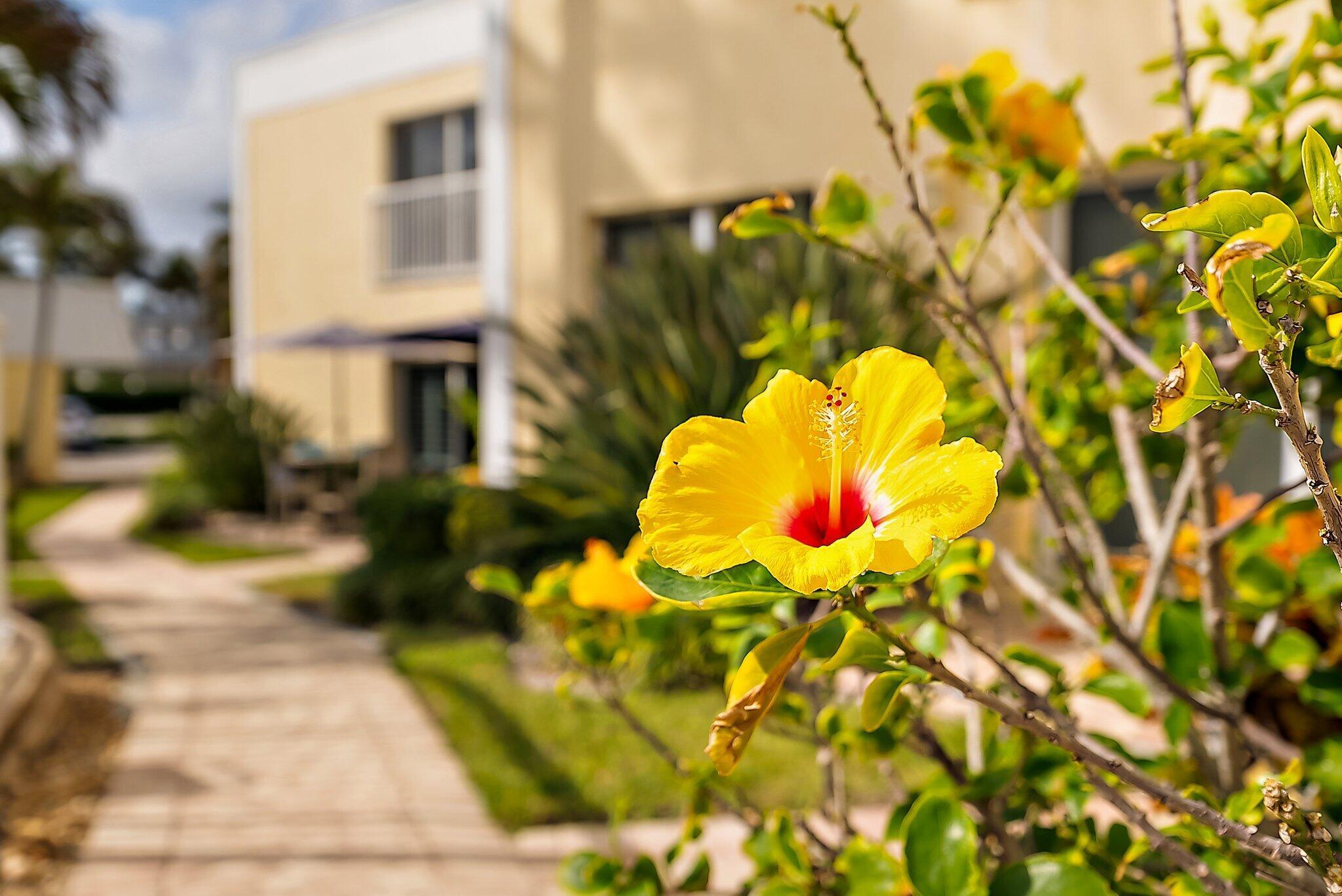 SEASIDE OF STUART CONDO - Residential