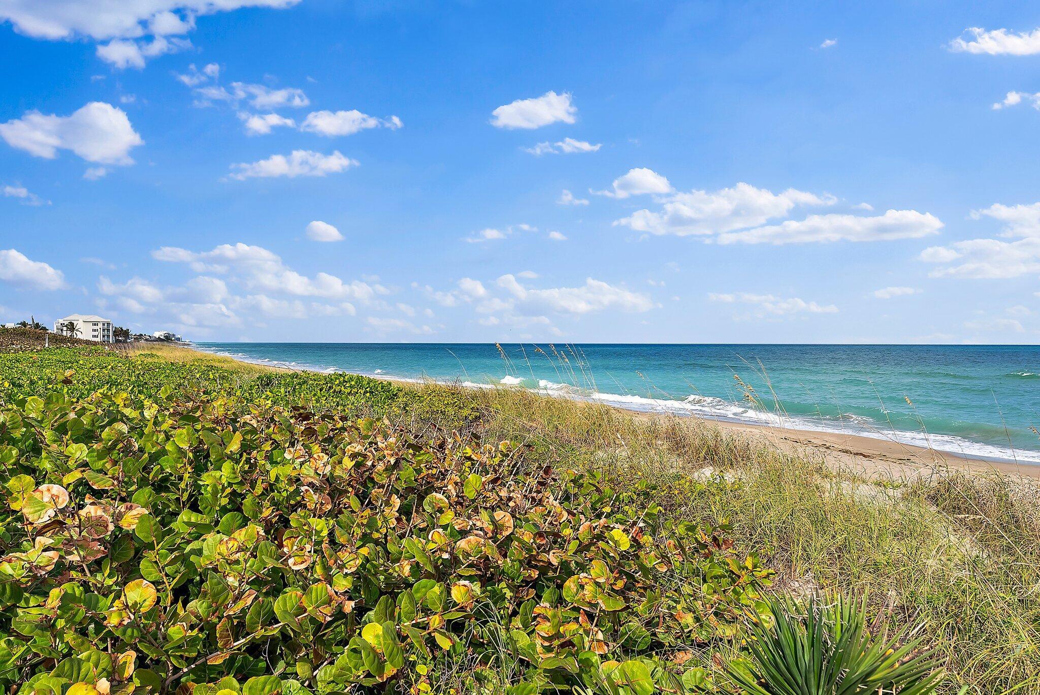 SEASIDE OF STUART CONDO - Residential