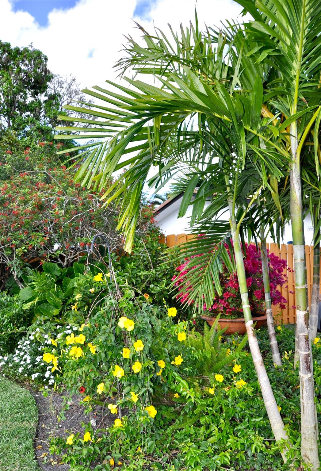 Palm Aire Village - Residential