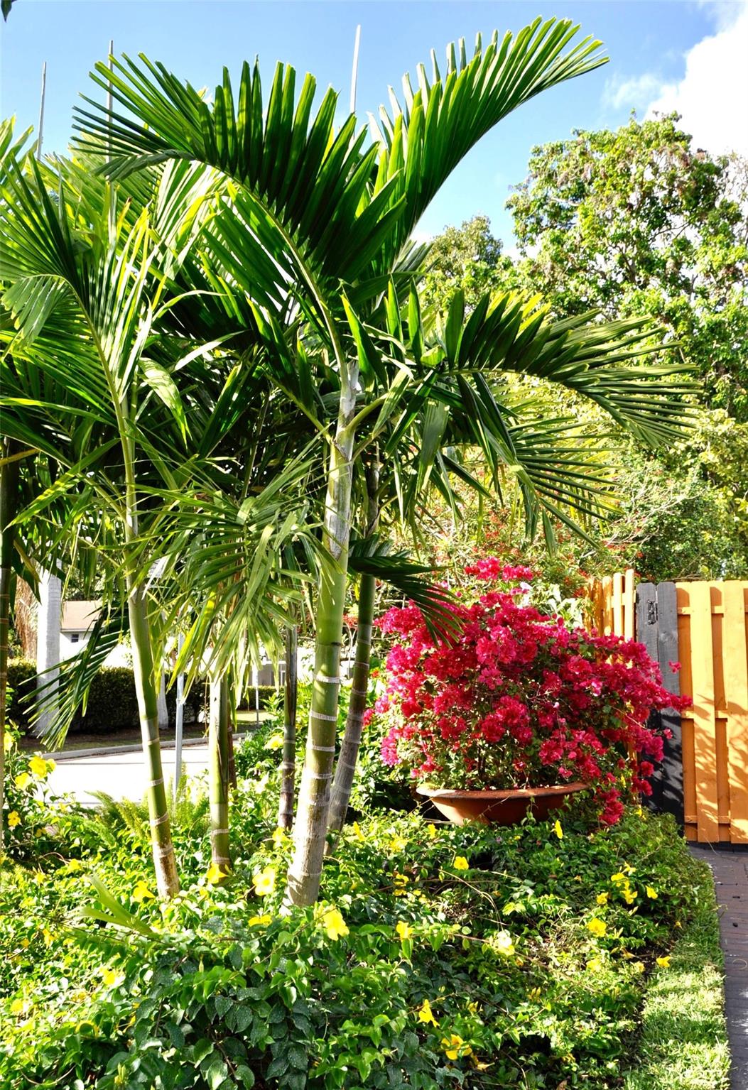 Palm Aire Village - Residential