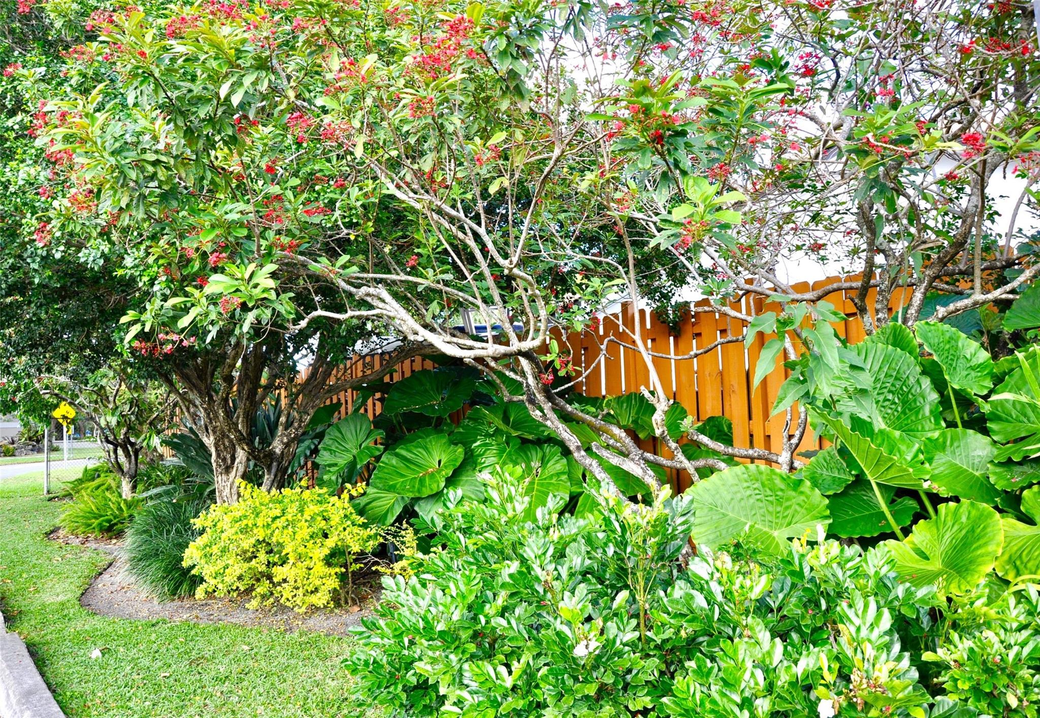 Palm Aire Village - Residential