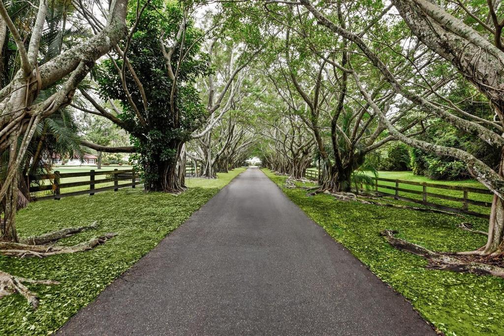 HORSESHOE ACRES - Residential