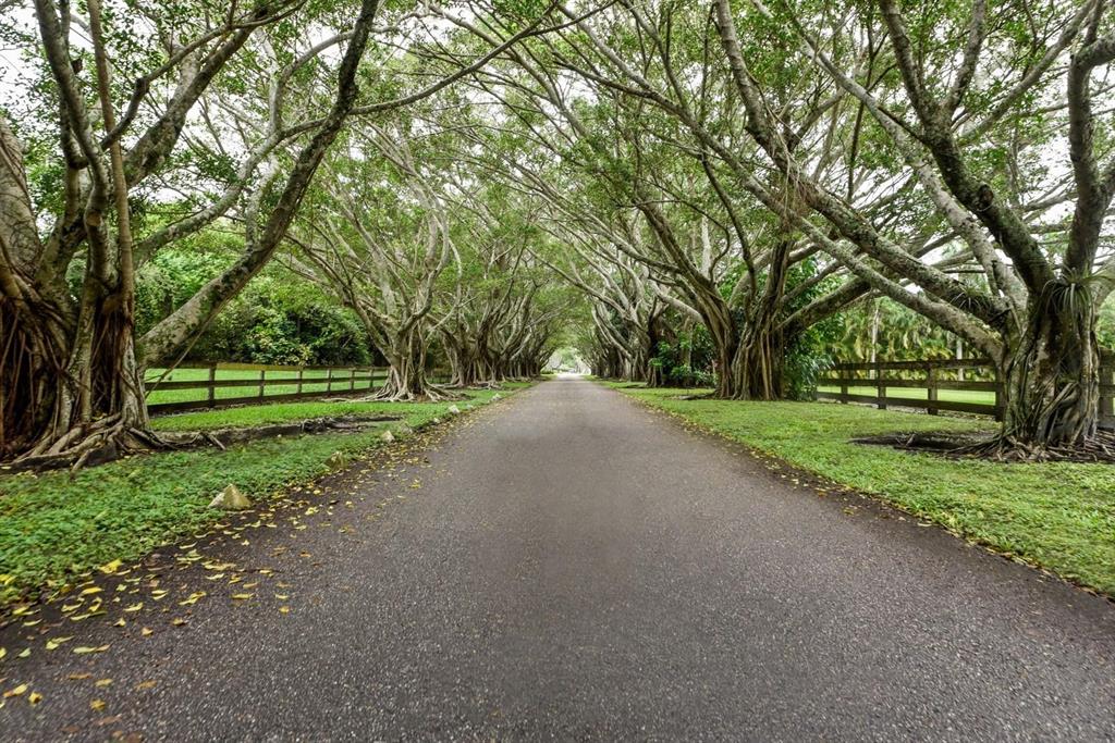HORSESHOE ACRES - Residential