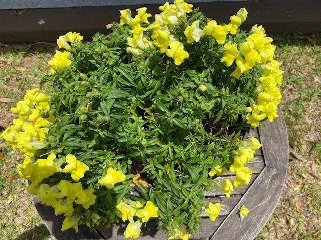 Okeechobee - Residential Lease