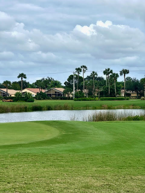 GLENEAGLES CONDO VI - Residential