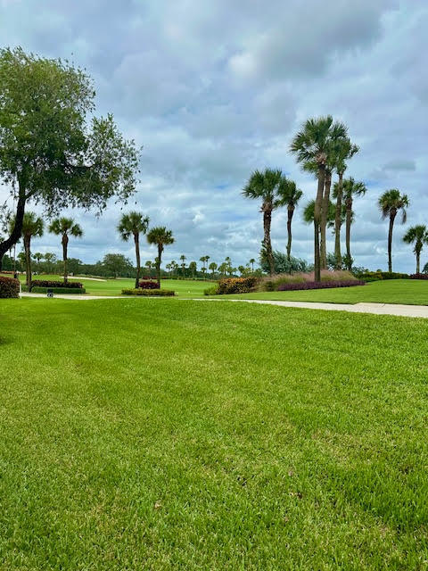 7362 Clunie Place 13304