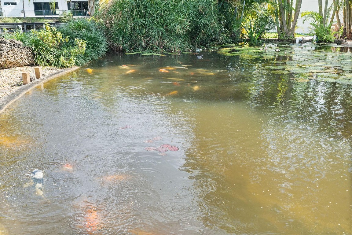 PEBBLE CREEK AT JACARANDA - Residential