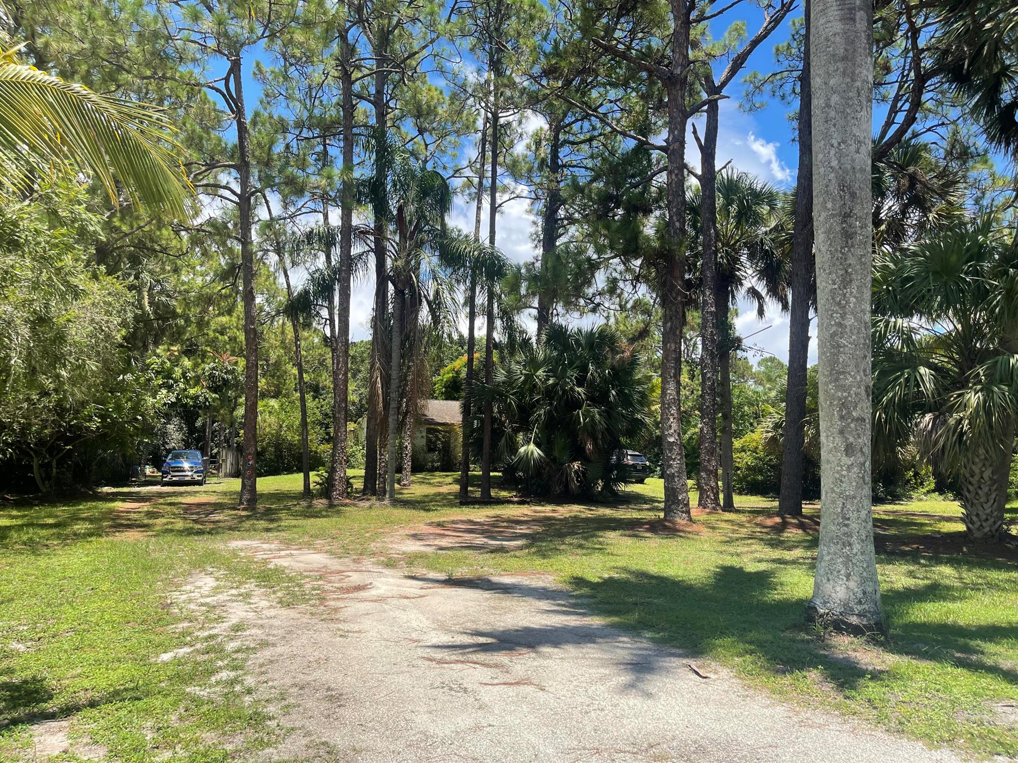CASH ONLY!! 2 BED 1 BATH HANDY MAN, HUGE COVERED PATIO 38 X 20 OVER 750 SQ FT, NESTELED 1.25 ACRE LOT, BACKYARD FENCED, FRUIT TREES MANGO, STAR FRUIT, 2 GORGEOUS ROYAL POINCIANNA TREES, HUGE PINE TREES, NO POND, GREAT LOCATION RIGHT OFF ROYAL PALM BEACH BLVD! Zoning residential/Agriculture, Bring HORSES and livestock animals! BRING BOAT OR RV TOYS, PLENTY PARKING, No Homeowners association, NO restrictions, NEEDS TLC CASH BUYER ONLY POF required.