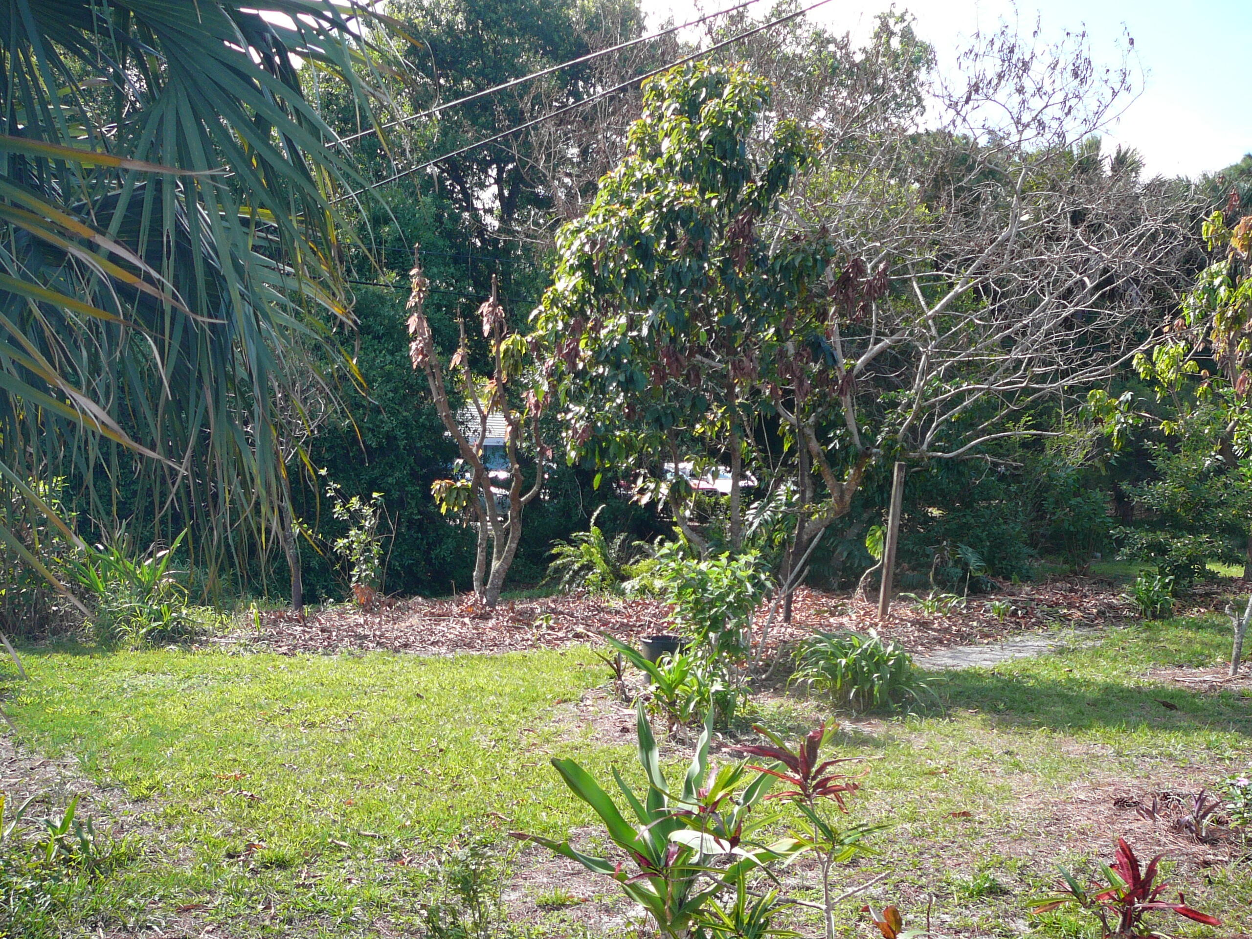 SHERWOOD ACRES UNIT 1 - Residential