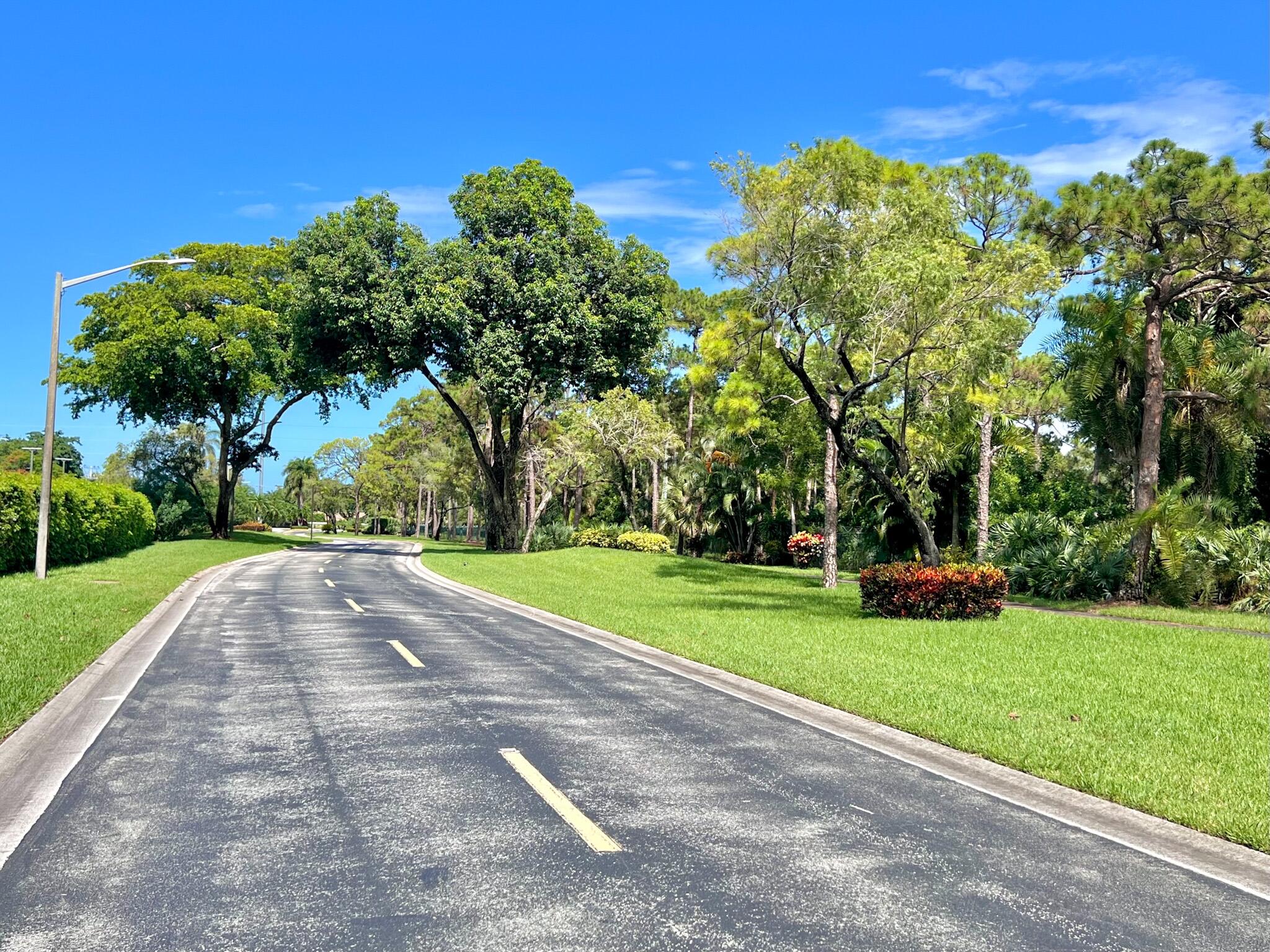 PALM CHASE CONDO - Residential