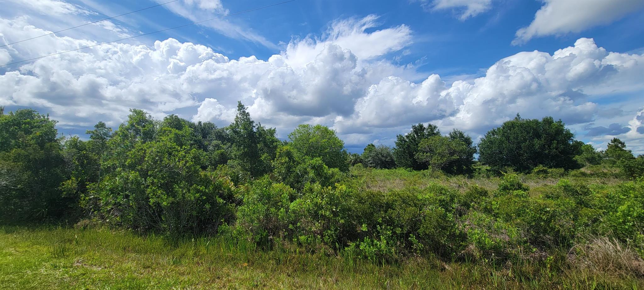 southern colonization - Land