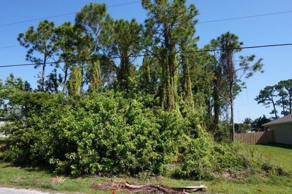 Photo of 717 SE Lansdowne Avenue, Port Saint Lucie, FL 34983 (MLS # R10743316)