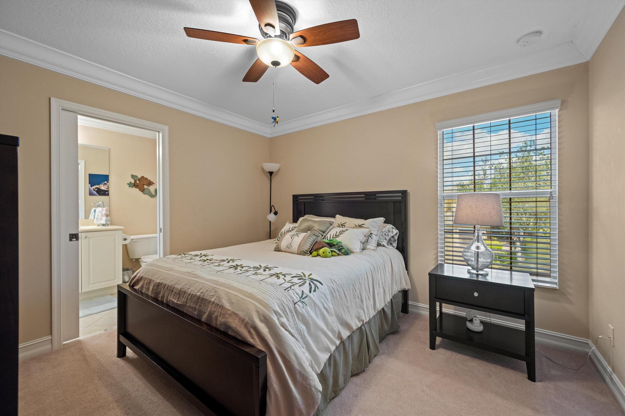 CANYON SPRINGS - Residential