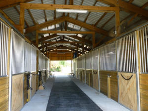 Located in Little Ranches just 1/8 mi from Ida Farms, this nicely appointed center aisle barn (built fall of 2015) features 8 12 x 12 matted stalls, covered wash stall, full bathroom w/shower, W/D, fly system, A/C tack room, lounge and numerous extra storage areas. The 100' x 200'sand arena has excellant footing & drainage, is fully irrigated and has the option of being set up for a H/J's (with schooling jumps) or bring your dressage ring! There is also a 130' x 260' grass field for riding in, a round pen, 7 paddocks and plenty of room for parking & trailers. Rent is $950/stall/month for 4 mos.(owner will consider 3 month rental at a slightly higher rate or Annual rental). Tenant pays $150/month electric fee, manure removal & fly-system refill. -- Full Pre-Payment Required