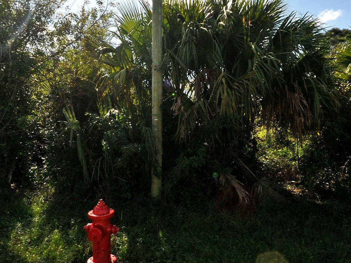 This exceptional commercial lot is now available in the heart of Port Saint Lucie's booming development area.This property offers over 150 feet of prime frontage along Port Saint Lucie Boulevard, providing outstanding visibility and high daily traffic--ideal for a variety of business opportunities. Strategically located near the rapidly expanding Becker Road Corridor and just minutes from I-95, the lot is surrounded by growing residential neighborhoods and commercial projects. Zoned for commercial use, this site is perfect for investors, developers, or business owners looking to establish a presence in one of South Florida's fastest-growing markets. See Documents for plans available to build on site