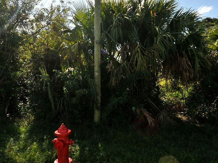 This exceptional commercial lot is now available in the heart of Port Saint Lucie's booming development area.This property offers over 150 feet of prime frontage along Port Saint Lucie Boulevard, providing outstanding visibility and high daily traffic--ideal for a variety of business opportunities. Strategically located near the rapidly expanding Becker Road Corridor and just minutes from I-95, the lot is surrounded by growing residential neighborhoods and commercial projects. Zoned for commercial use, this site is perfect for investors, developers, or business owners looking to establish a presence in one of South Florida's fastest-growing markets. See Documents for plans available to build on site