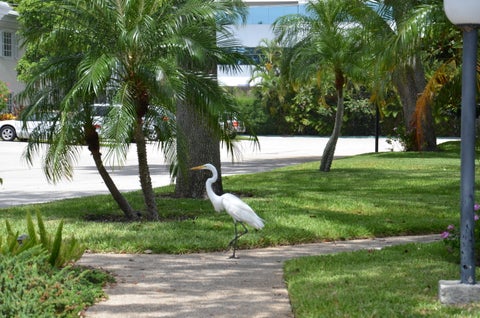 Tiny photo for 6345 Bay Club Drive #3, Fort Lauderdale, FL 33308 (MLS # B26045587)
