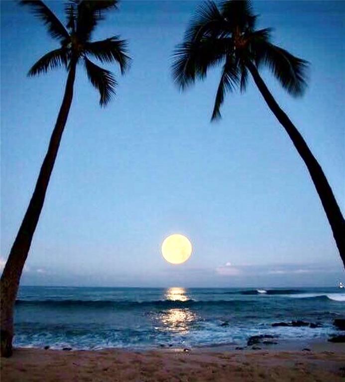 OCEAN MANOR RESORT - Residential