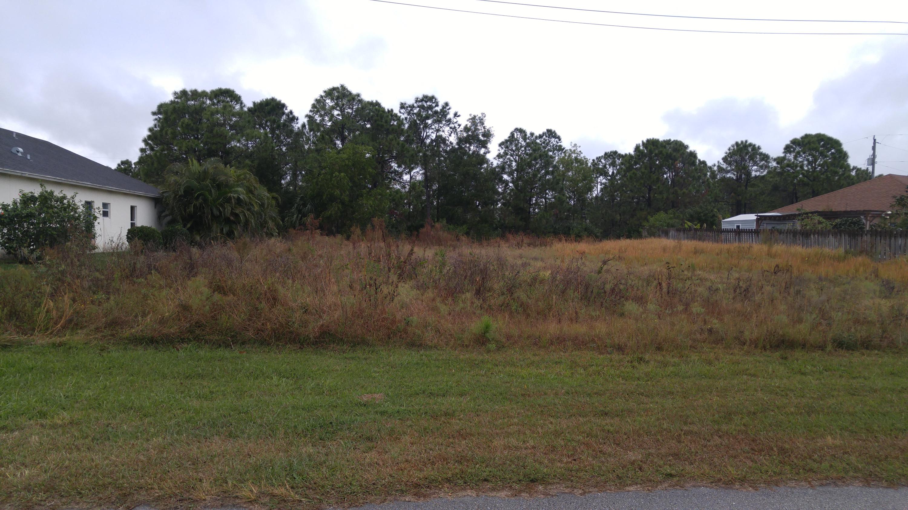 Sought after Torino area lot in neighborhood of newer homes. Located minutes to Saint Lucie West major retail shopping, restaurants, entertainment, medical center, golf, hotels and Mets Spring Training Stadium.