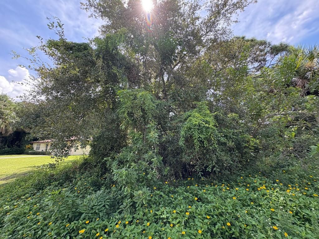 Photo of Santa Clar Santa Clara Boulevard, Port Saint Lucie, FL 34951 (MLS # R11131751)