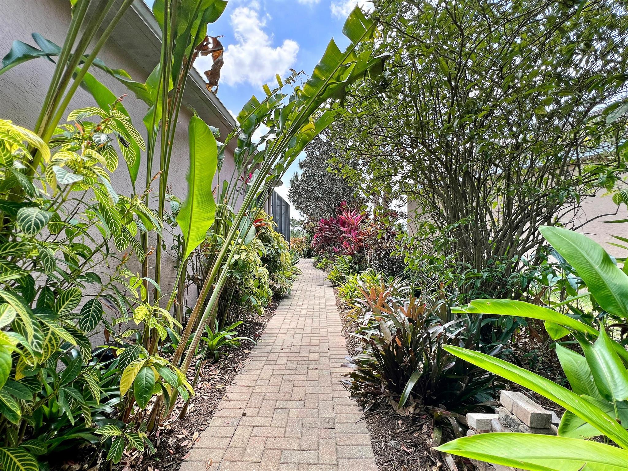 PINEAPPLE PLANTATION (AKA PINES) - Residential