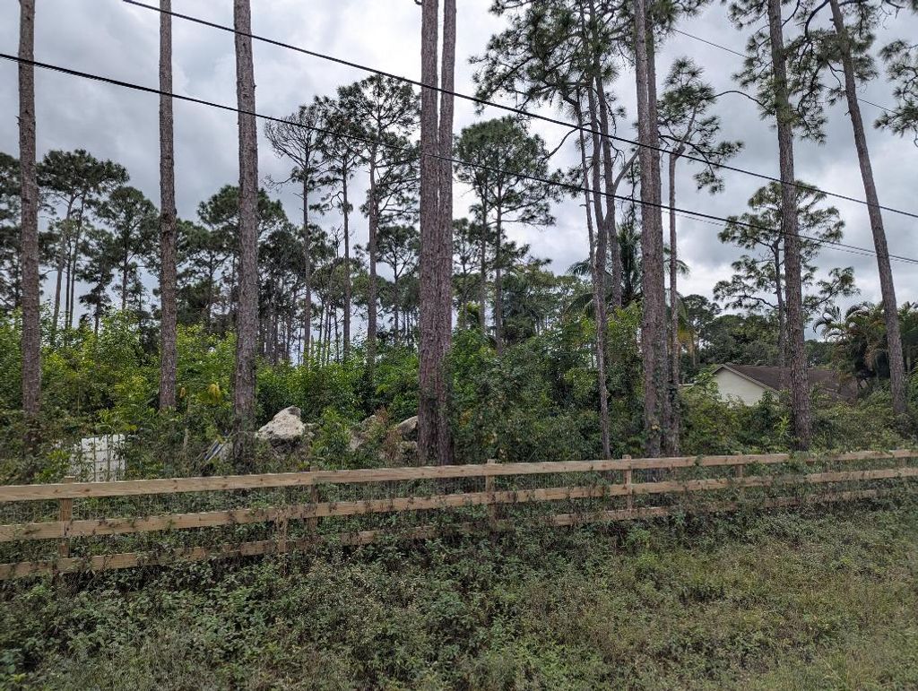 Photo of 17280 91 Street N, Loxahatchee, FL 33470 (MLS # R11154557)