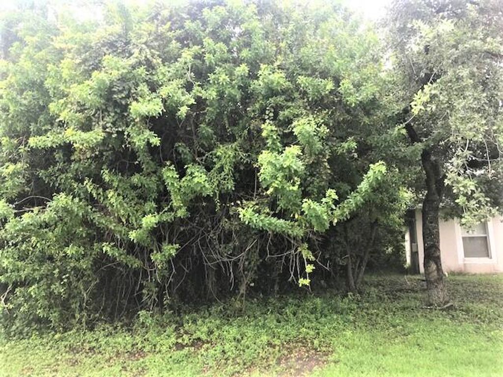 Photo of 826 SW Tulip Boulevard, Port Saint Lucie, FL 34953 (MLS # R10817091)