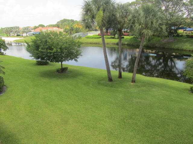 PLUM - Residential Lease