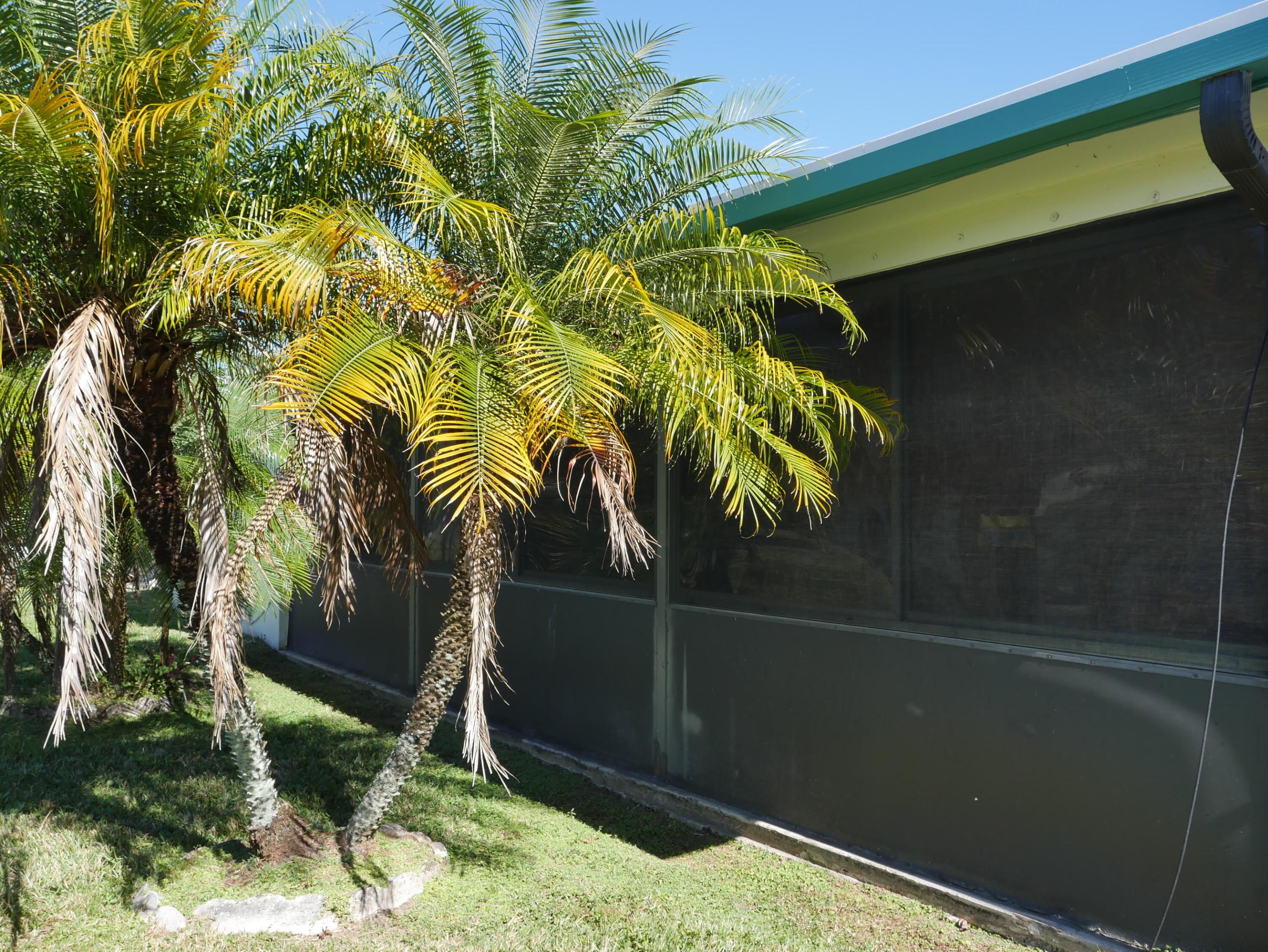 MAINLANDS OF TAMARAC LAKES - Residential