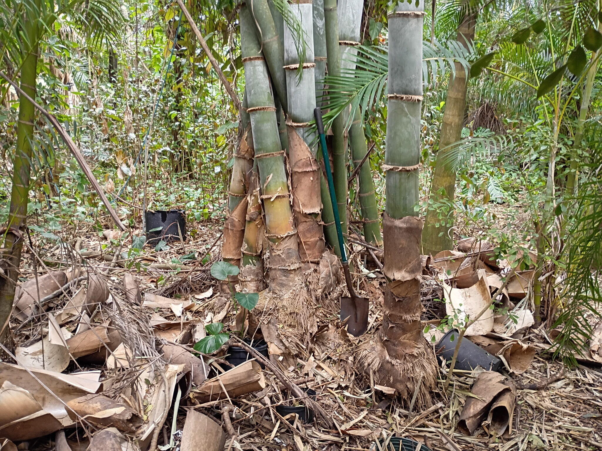 Jupiter Farms - Land