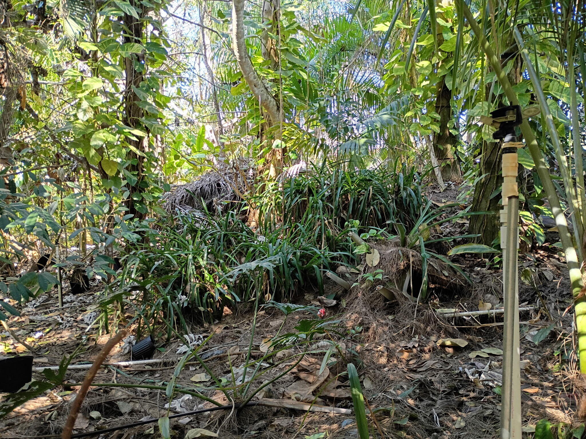 Jupiter Farms - Land