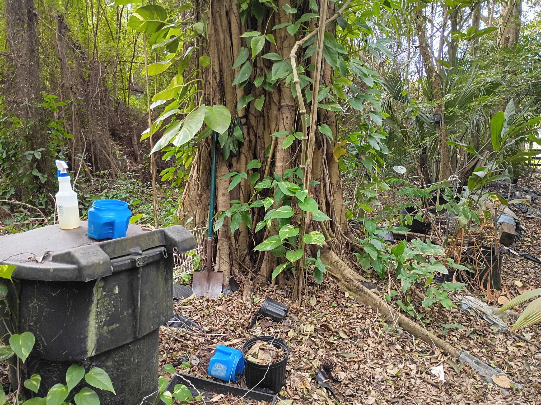 Jupiter Farms - Land