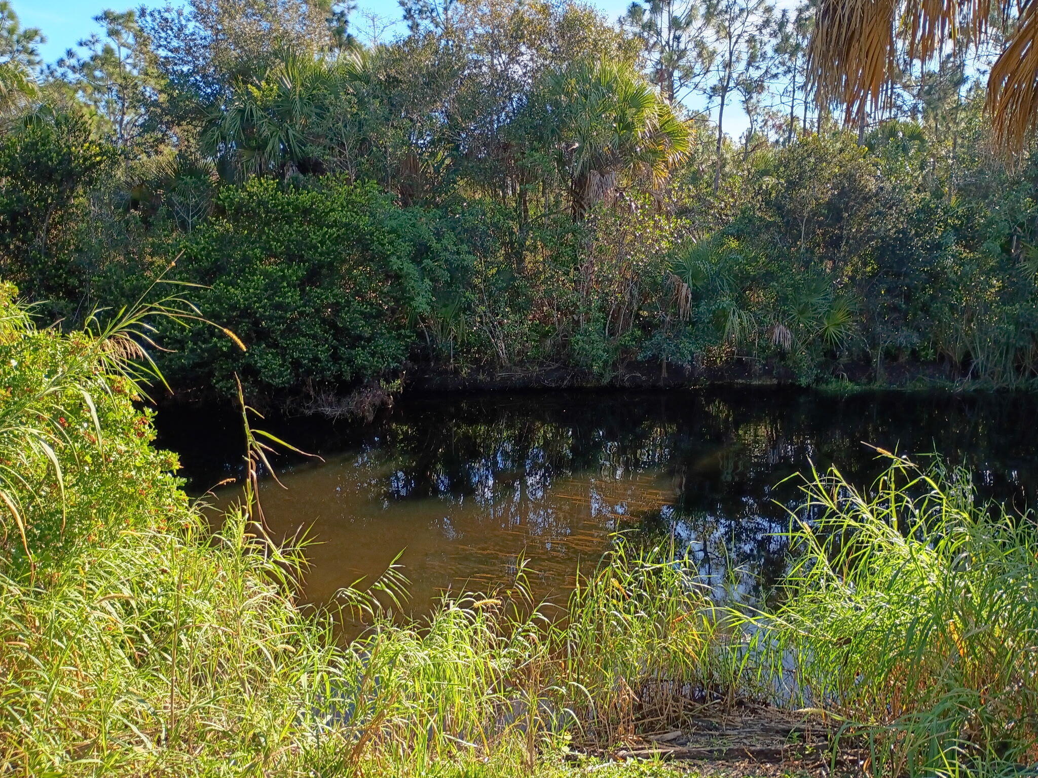 Jupiter Farms - Land