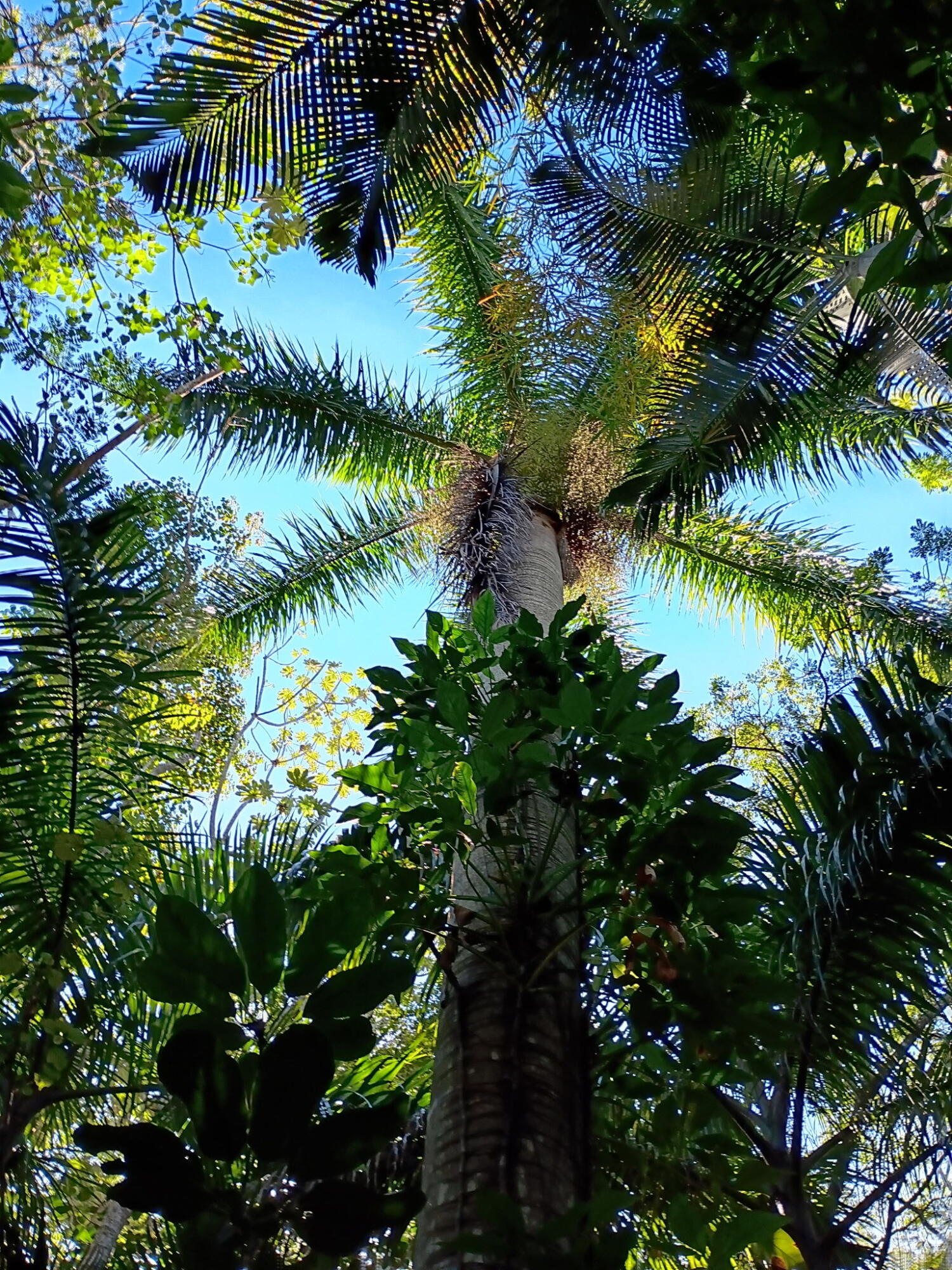 Jupiter Farms - Land