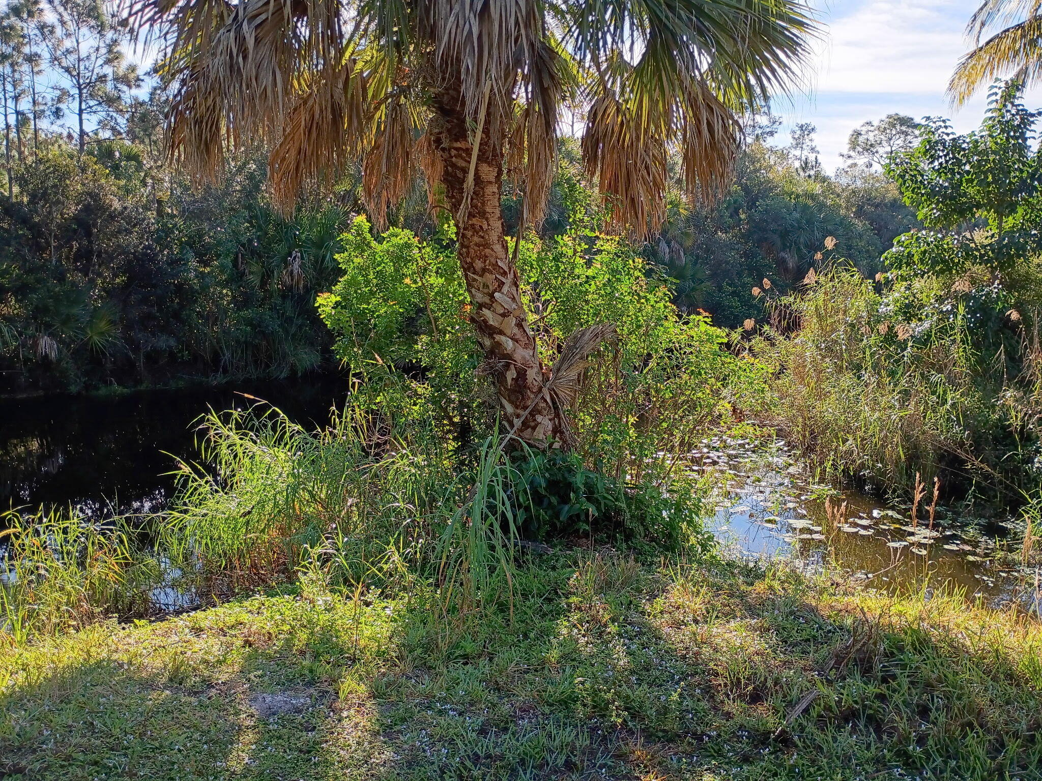 Jupiter Farms - Land